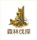 森林伐採